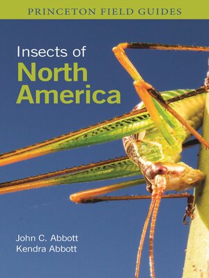 cover image of Insects of North America